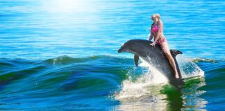 Ile quad jedzie na godzinę?