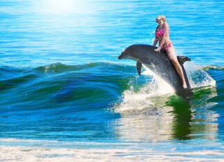 Ile quad jedzie na godzinę?