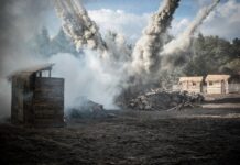 Jakie bronie ma Wojsko Polskie?